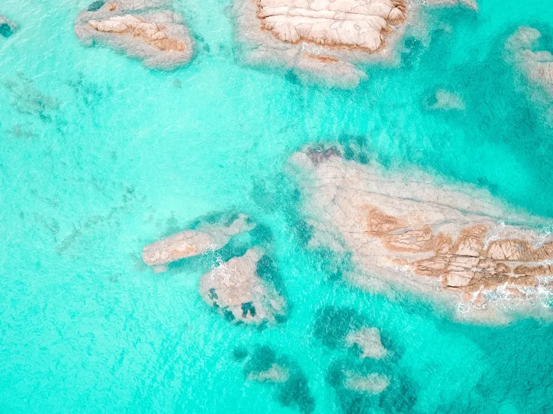 Dinosaurs and the Birth of the Atlantic and Indian Oceans (Image Credits: Unsplash)