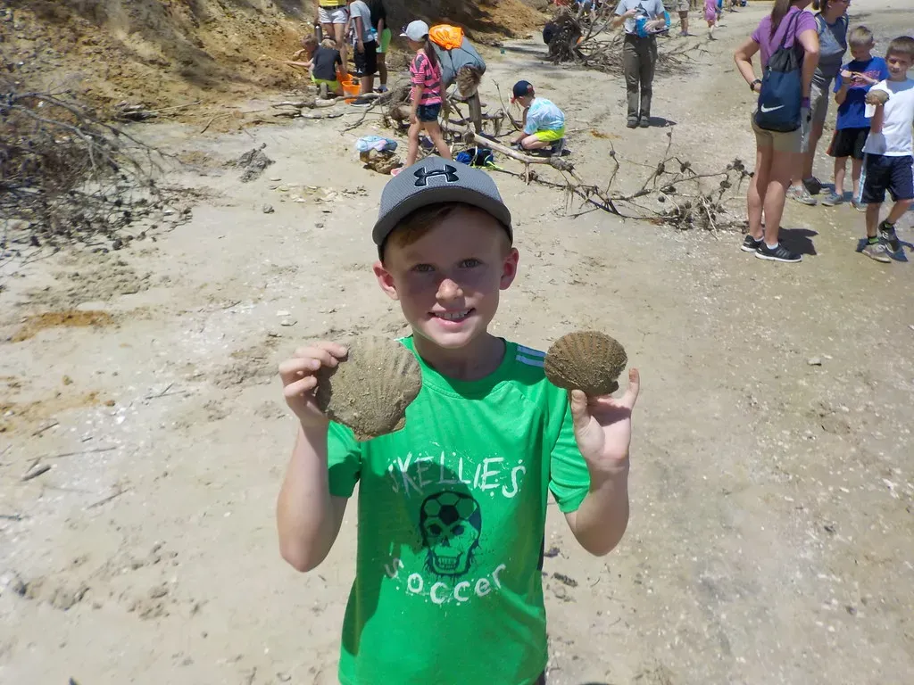 8. Your Own Local Beach, Quarry, or Road Cut (vastateparksstaff, Flickr, CC BY 2.0)