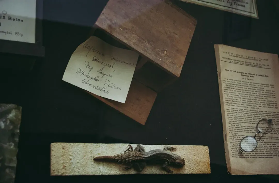 #2 - The Basilisk Museums Displayed as a Genuine Specimen (Image Credits: Unsplash)