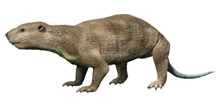 The Great Mammalian Expansion (Image Credits: Wikimedia)