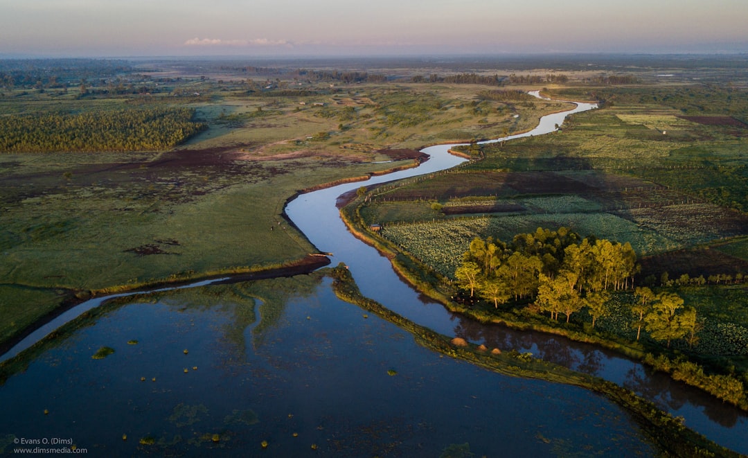 When the World Warmed Up (Image Credits: Unsplash)