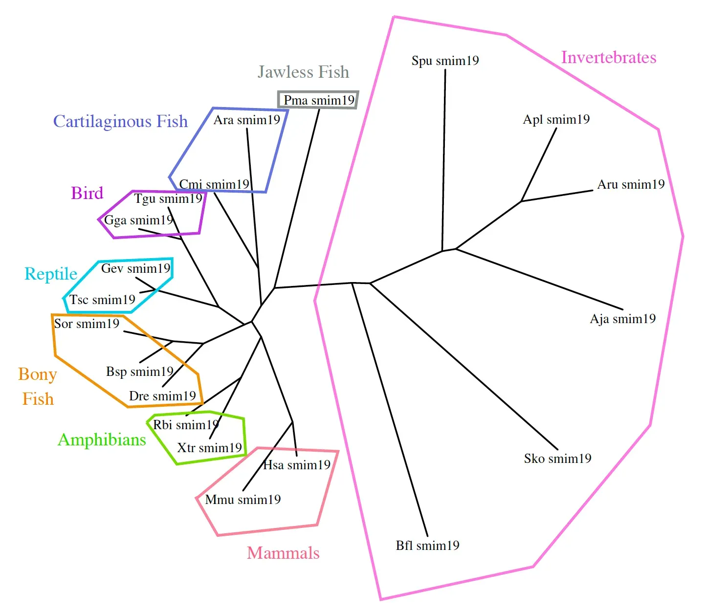 Conclusion: Evolution Is Stranger - and Sharper - Than We Like to Admit (By Sierrajo2020, CC BY-SA 4.0)