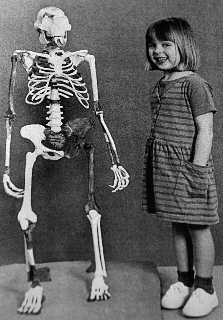Why Stand Up? The Evolutionary Payoff of Walking on Two Legs (James St. John, Flickr, CC BY 2.0)