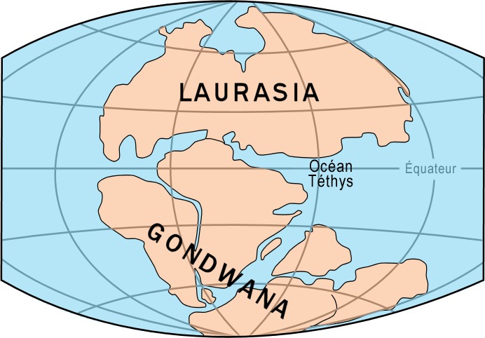 Gondwana's Role in Global Climate Patterns (Image Credits: Wikimedia)