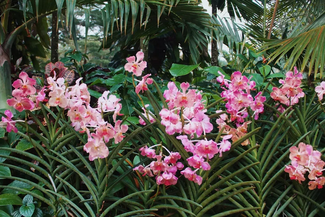 The Flowering Plant Revolution and Pre-Extinction Mammal Diversification (Image Credits: Unsplash)