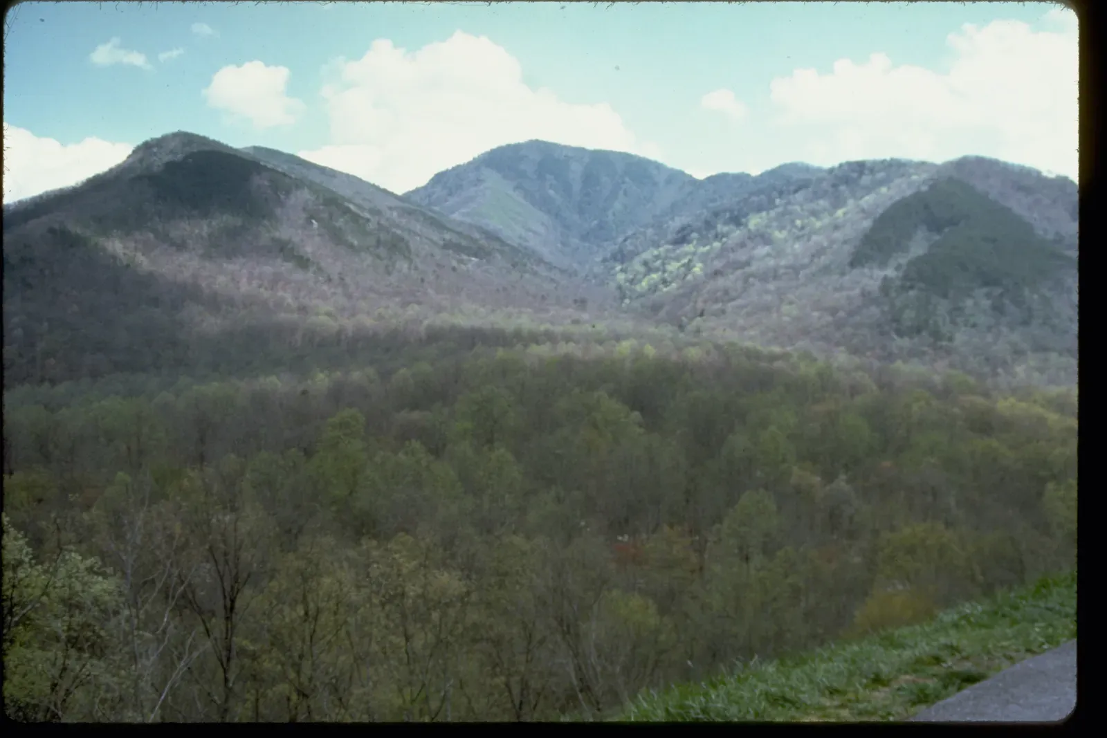 6. The Appalachian Mountains: North America's Ancient Backbone (By National Park Service Digital Image Archives, Public domain)