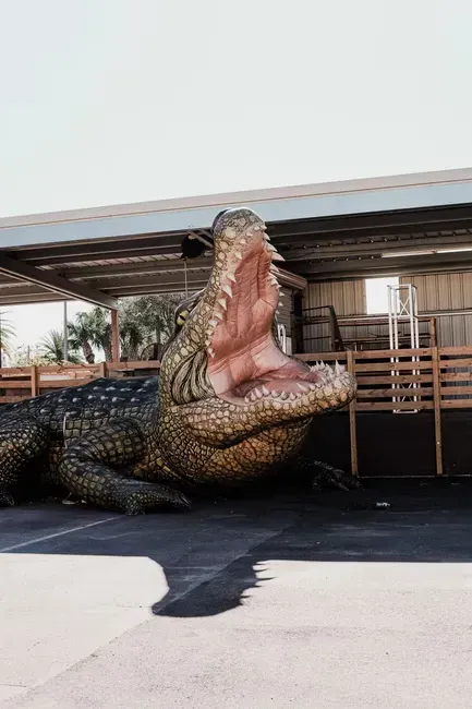 Ambush Tactics: How Giant Crocodilians Hunted Dinosaurs (Image Credits: Pexels)