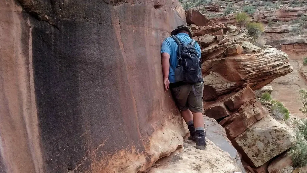 When the Instinct Misfires: Heights, Phobias, and Modern Risks (merrittglenn, Flickr, CC BY 2.0)