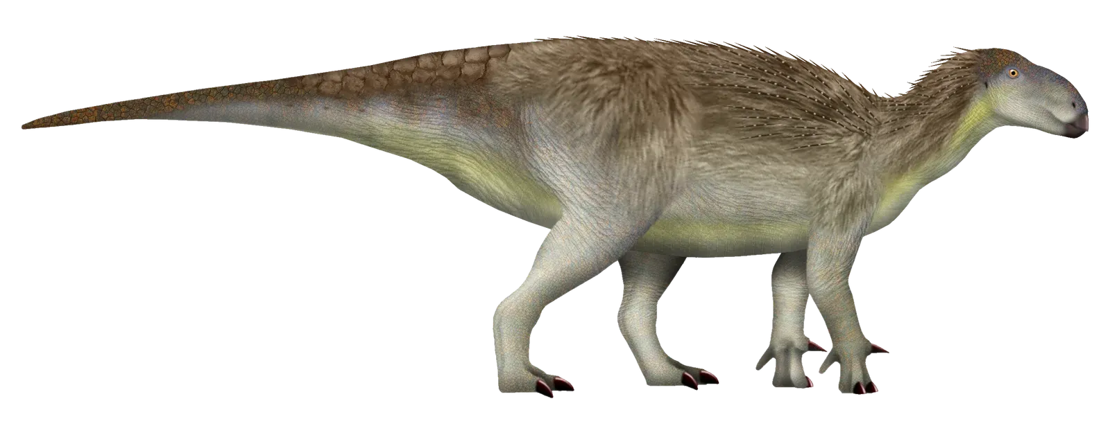 8. Preserved Skin Impressions and Feather Fossils: Appearances Reveal Behavior (By TotalDino, CC BY 4.0)