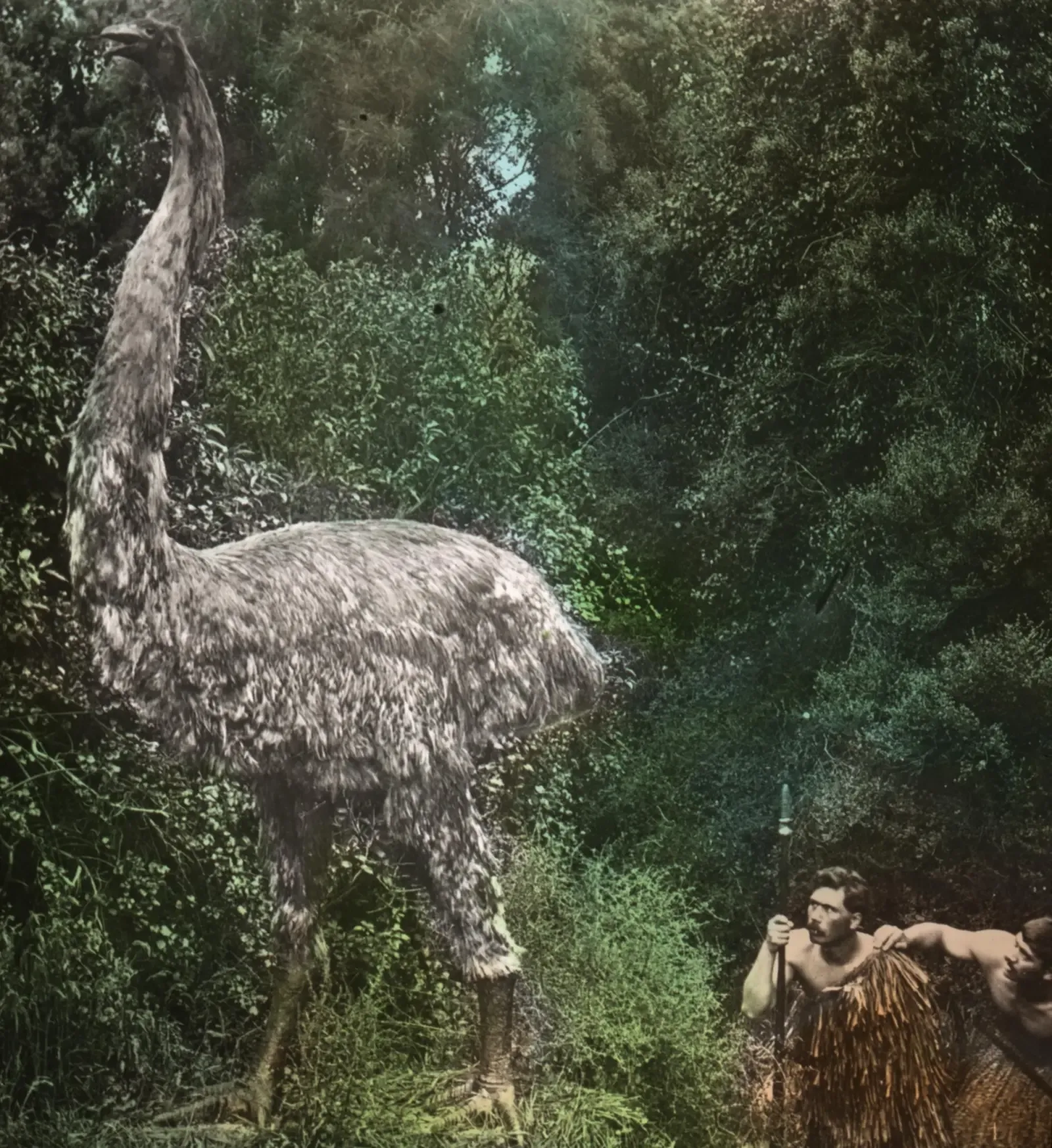 #6 - It Exploited a Vertical World Most Animals Ignore (Image Credits: Wikimedia)