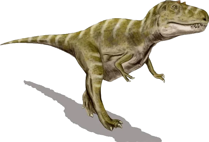 A Nose for Survival: The Olfactory World of Dinosaurs (Image Credits: Wikimedia)