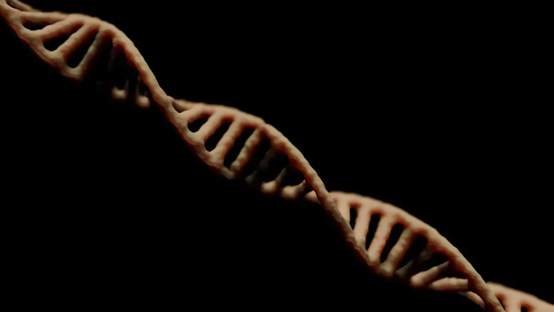 Traces in Modern Bodies: How Ancestral Encounters Still Shape Us (Image Credits: Unsplash)
