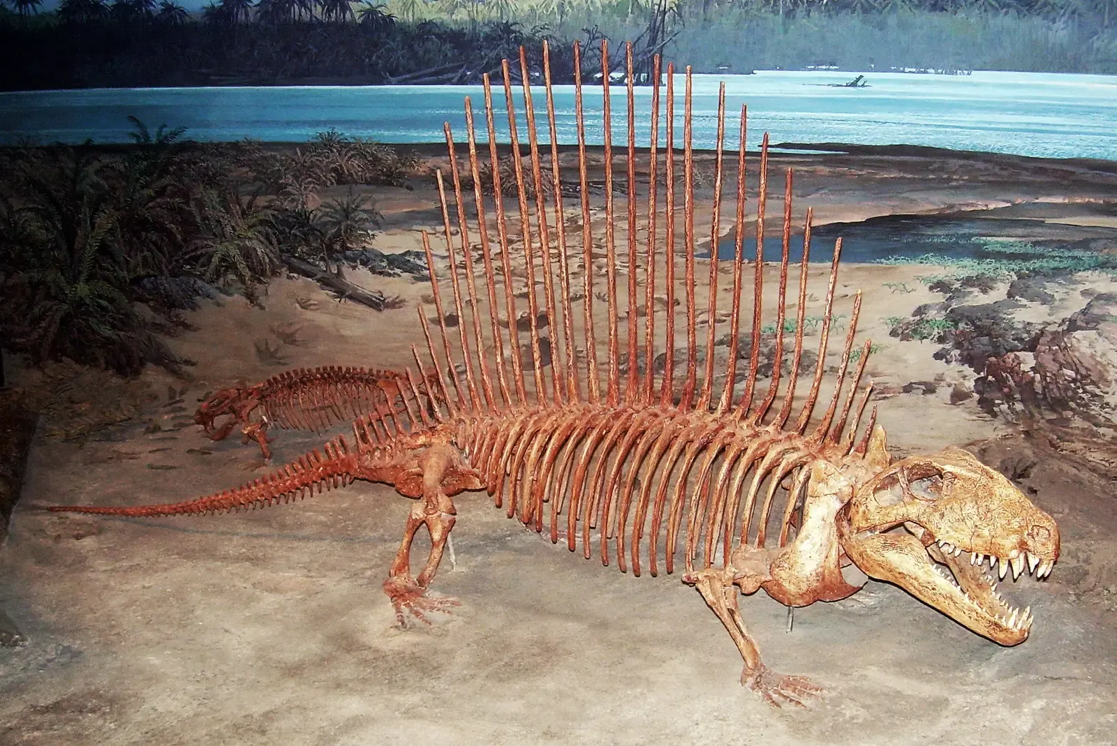 10. Its Posture Was Unlike a True Dinosaur (By Ninjatacoshell, CC BY-SA 3.0)