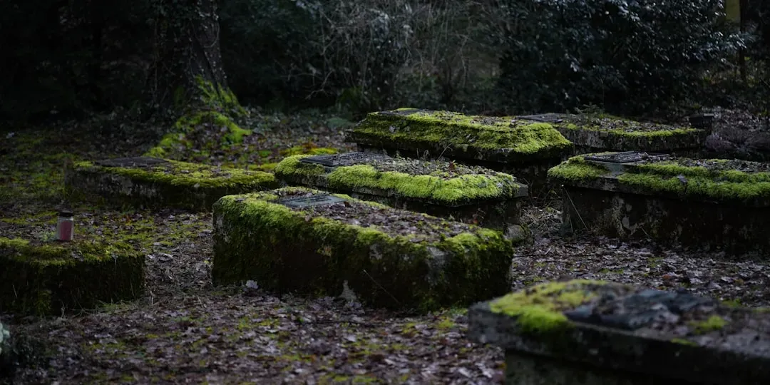 What That Ancient Act Says About Us Today (Image Credits: Unsplash)