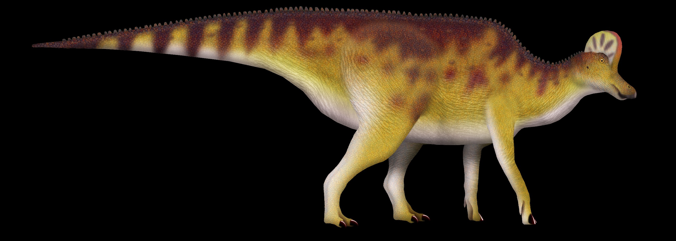 Corythosaurus: The Helmet Lizard (Image Credits: Wikimedia)