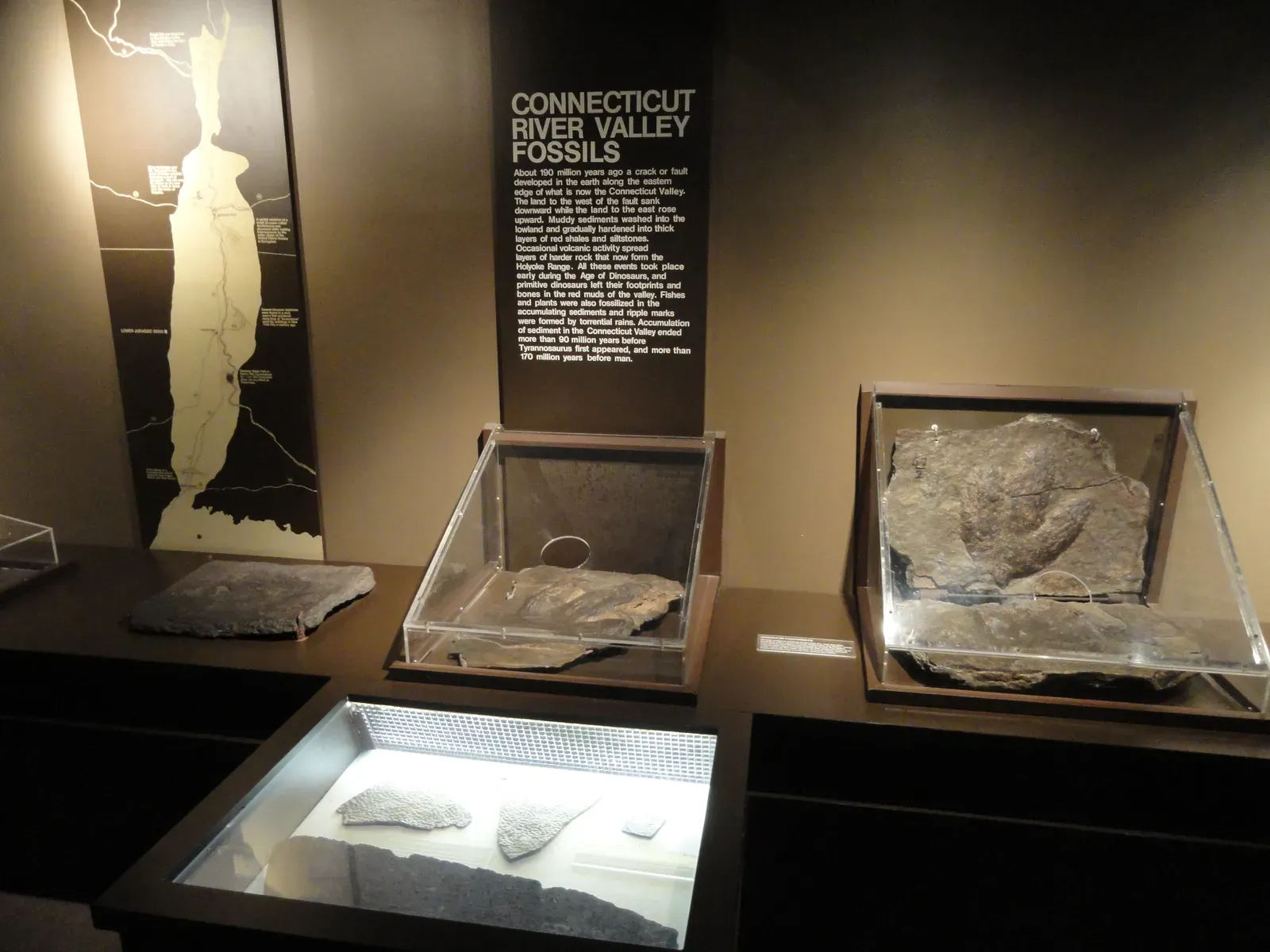 River Deposits Preserve Migration Evidence (Image Credits: Wikimedia)