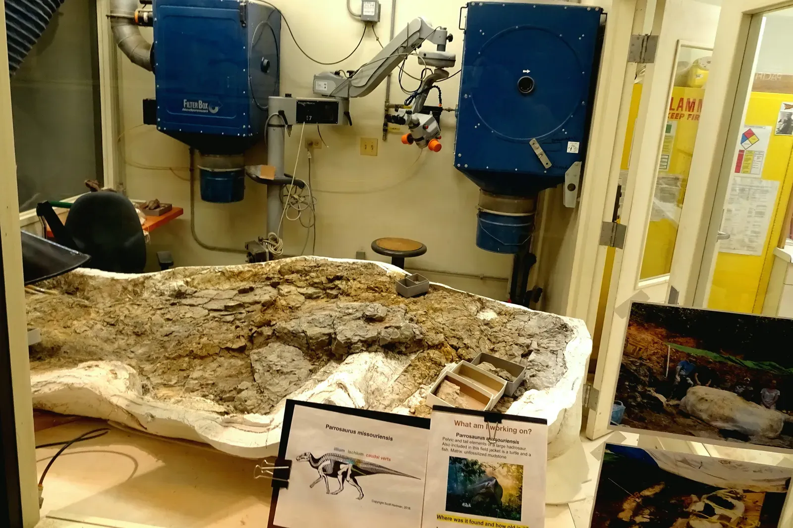 The Miraculous Discovery at Glen Allen (Image Credits: Wikimedia)