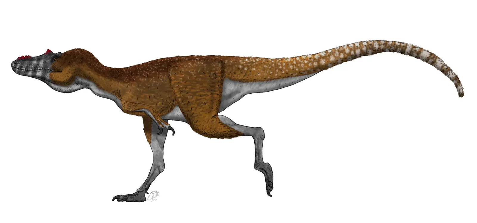 Qianzhousaurus sinensis (By PaleoGeekSquared, CC BY-SA 4.0)