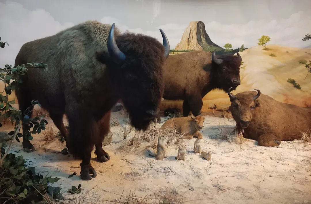 Conclusion (Image Credits: Unsplash)