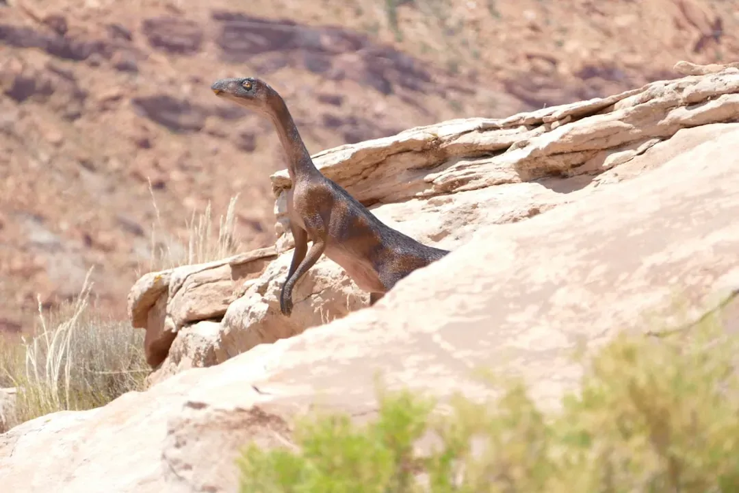 Conclusion: The Smallest Dinosaurs Change the Biggest Story (Image Credits: Unsplash)