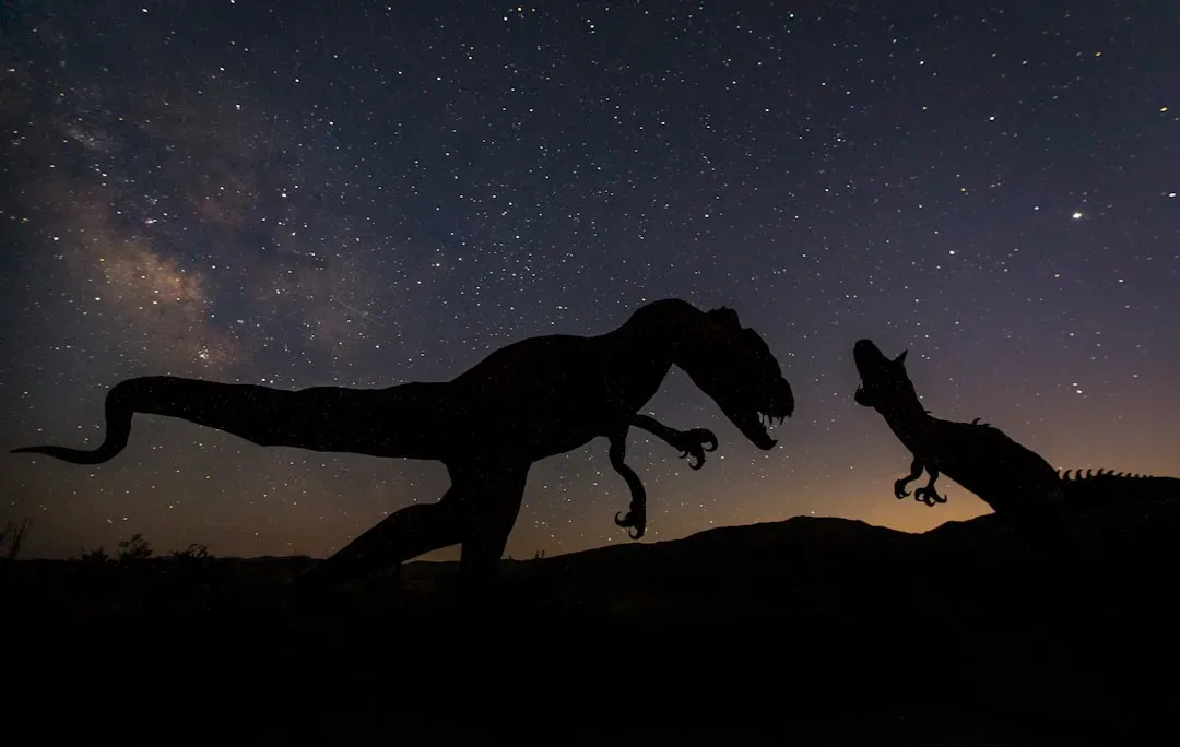 Conclusion – Your Cosmic Era in a World of Fossils (Image Credits: Unsplash)
