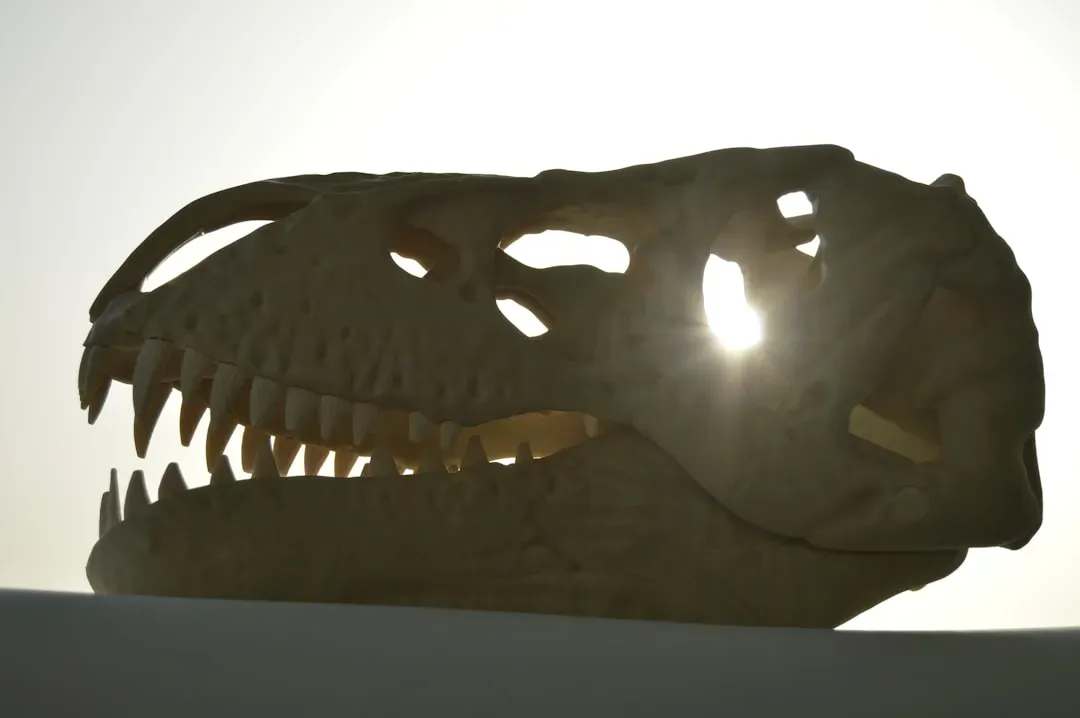 The Ancient Echo Within You (Image Credits: Unsplash)