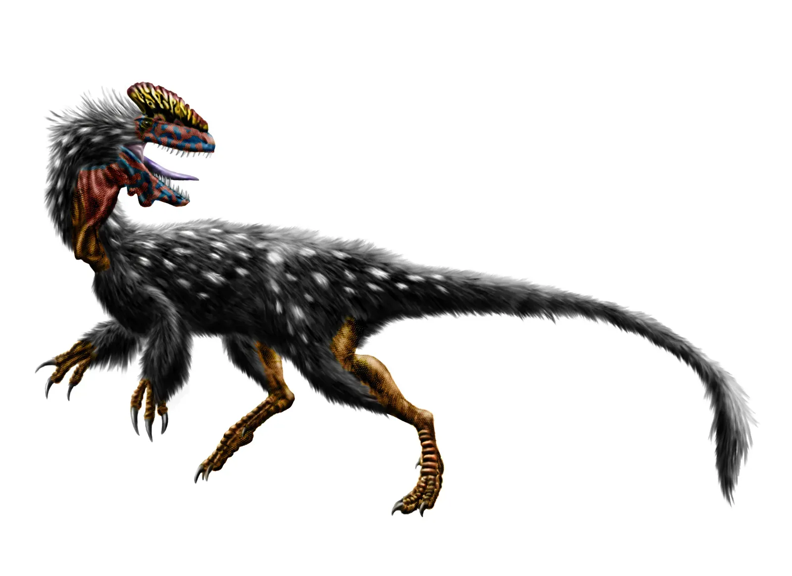The Family Tree Started With Small, Crested Creatures in Jurassic China (Image Credits: Wikimedia)