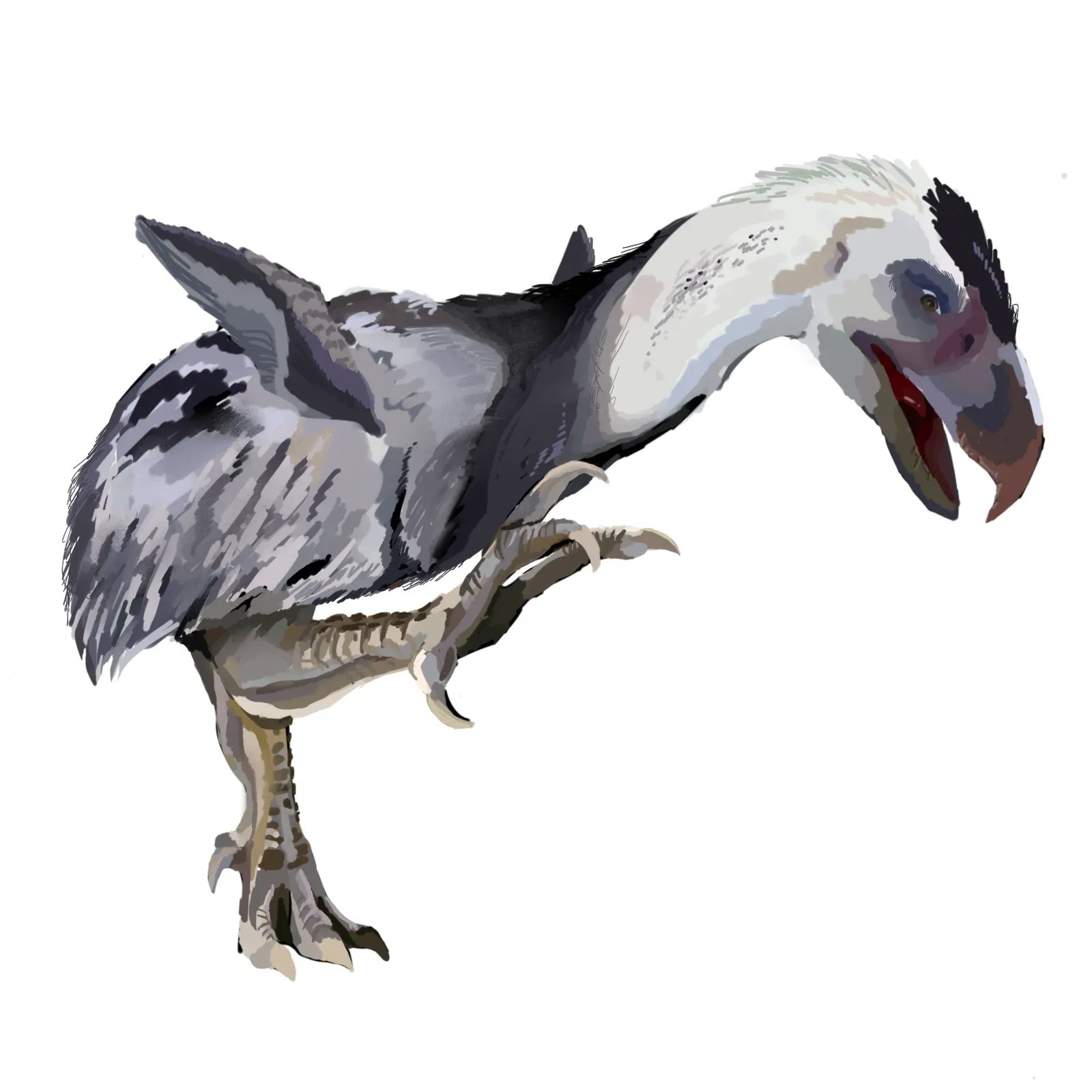 Terror Birds Ruled Where T. Rex Never Could (Image Credits: Wikimedia)