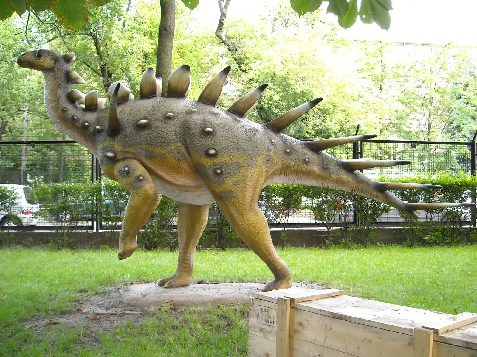 Kentrosaurus: Africa's Spiky Defender (Image Credits: Wikimedia)