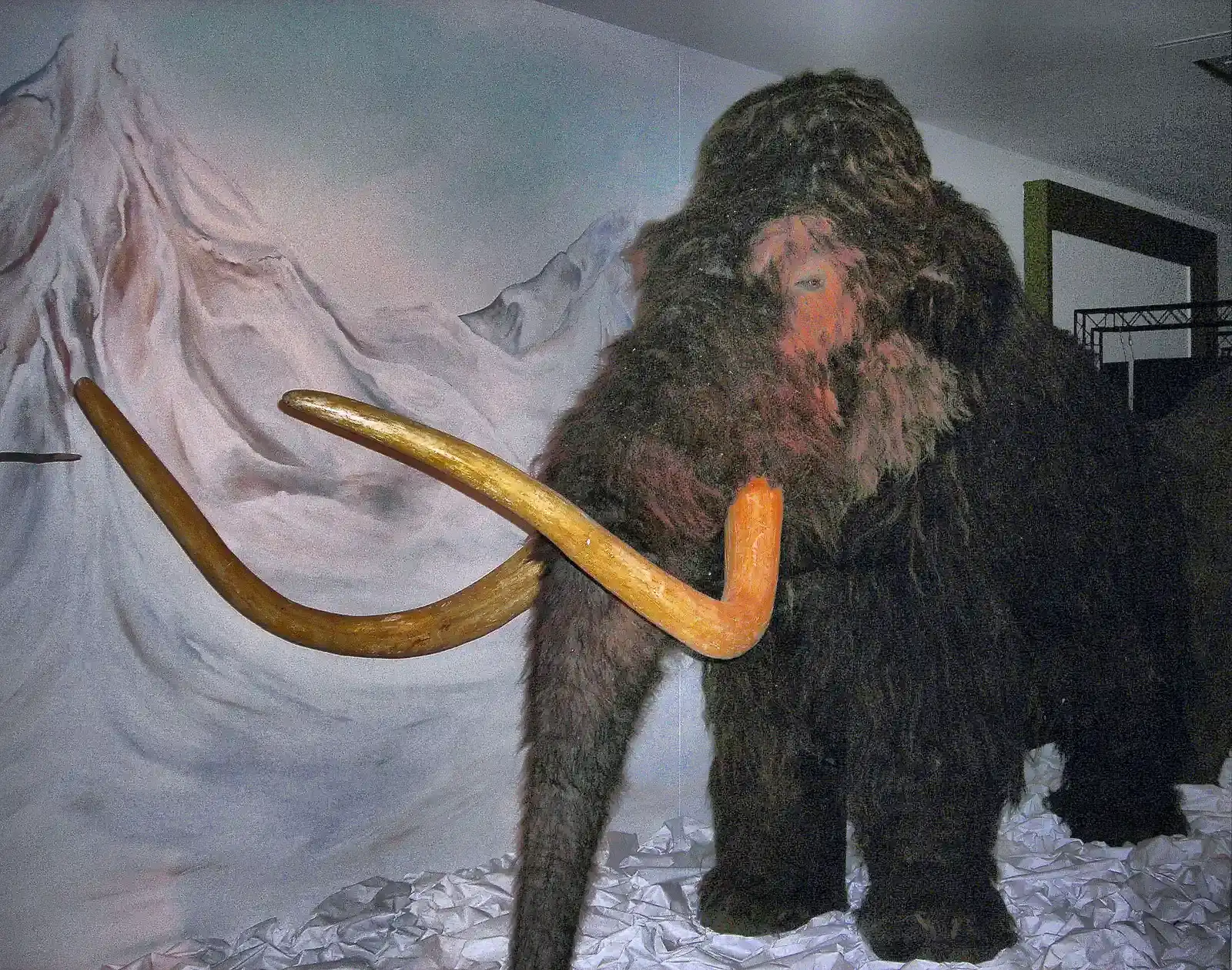 #3 - The "Vodka Cellar" Mammoth of Magadan (By Jim Linwood, CC BY 2.0)