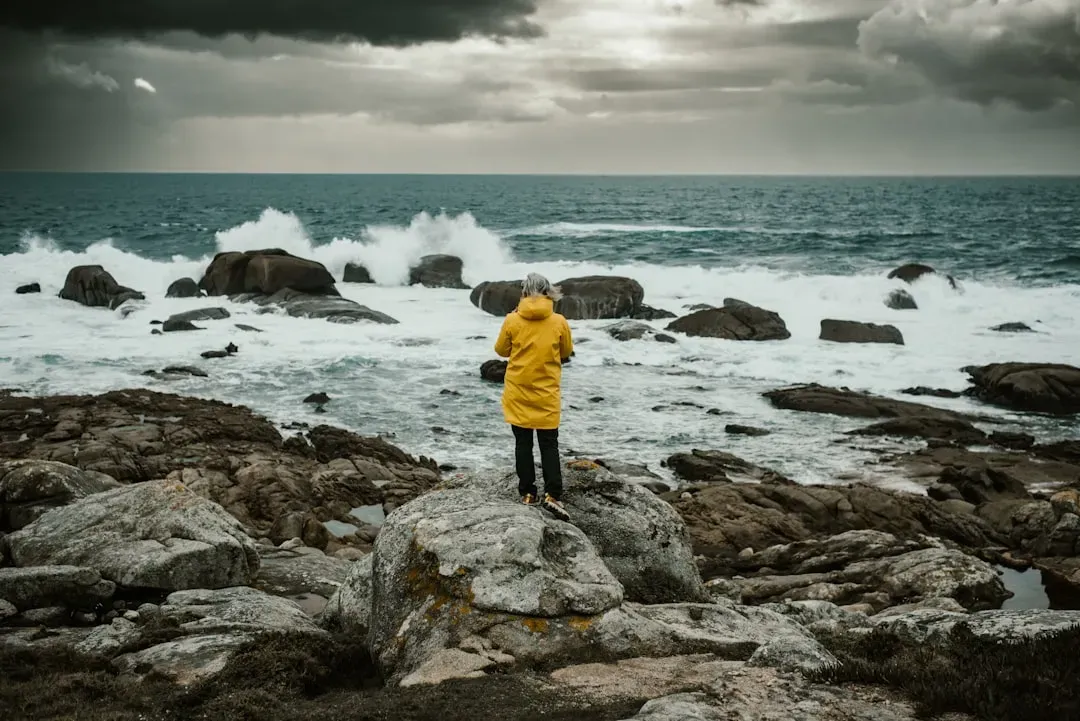 Conclusion (Image Credits: Unsplash)