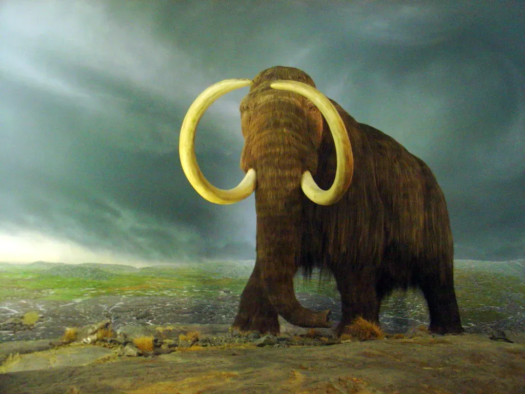 #8 - The Mammoth Kill Sites That Don't Add Up (neurmadic aesthetic, Flickr, CC BY-SA 2.0)