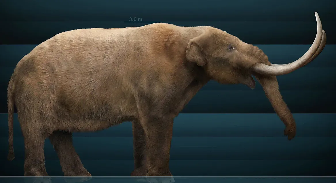 American Mastodons: The Swamp-Loving Cousins of Elephants (By Sergiodlarosa, CC BY-SA 3.0)
