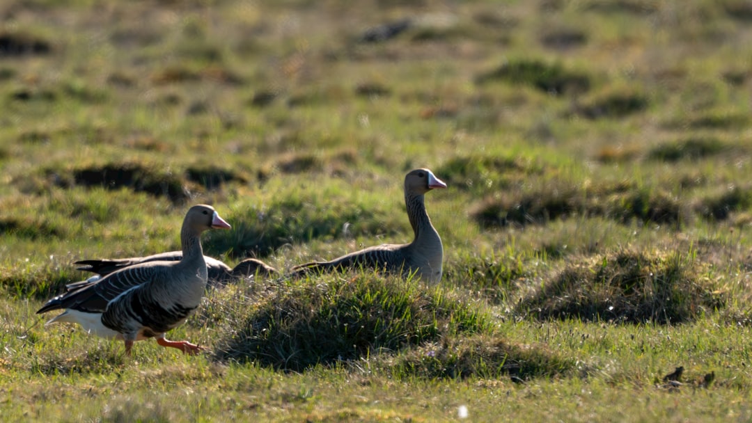 Aquarius: The Revolutionary Current (Image Credits: Unsplash)