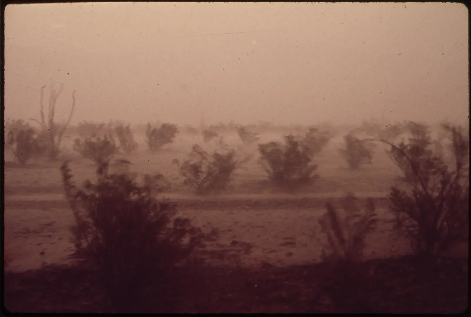 #3 - The Heaviest Rainfall Ever Dumped in a Single Day (U.S. National Archives and Records Administration, Public domain)