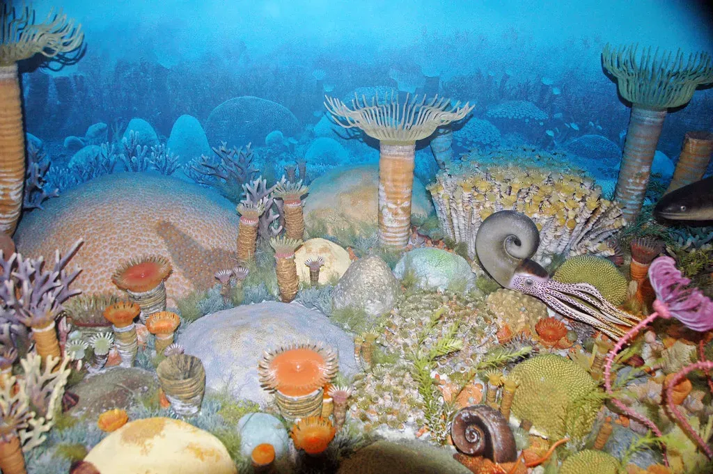 The Devonian Warm Ocean: Birthing the First Apex Sea Monsters (Image Credits: Flickr)