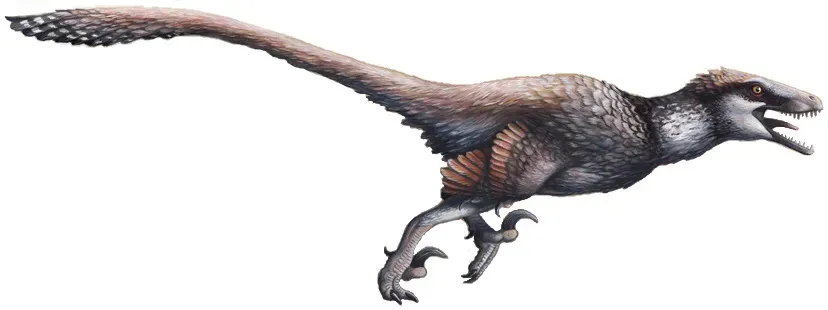 Taurus – Dakotaraptor, the Steadfast Strategist (By Emily Willoughby, CC BY-SA 4.0)