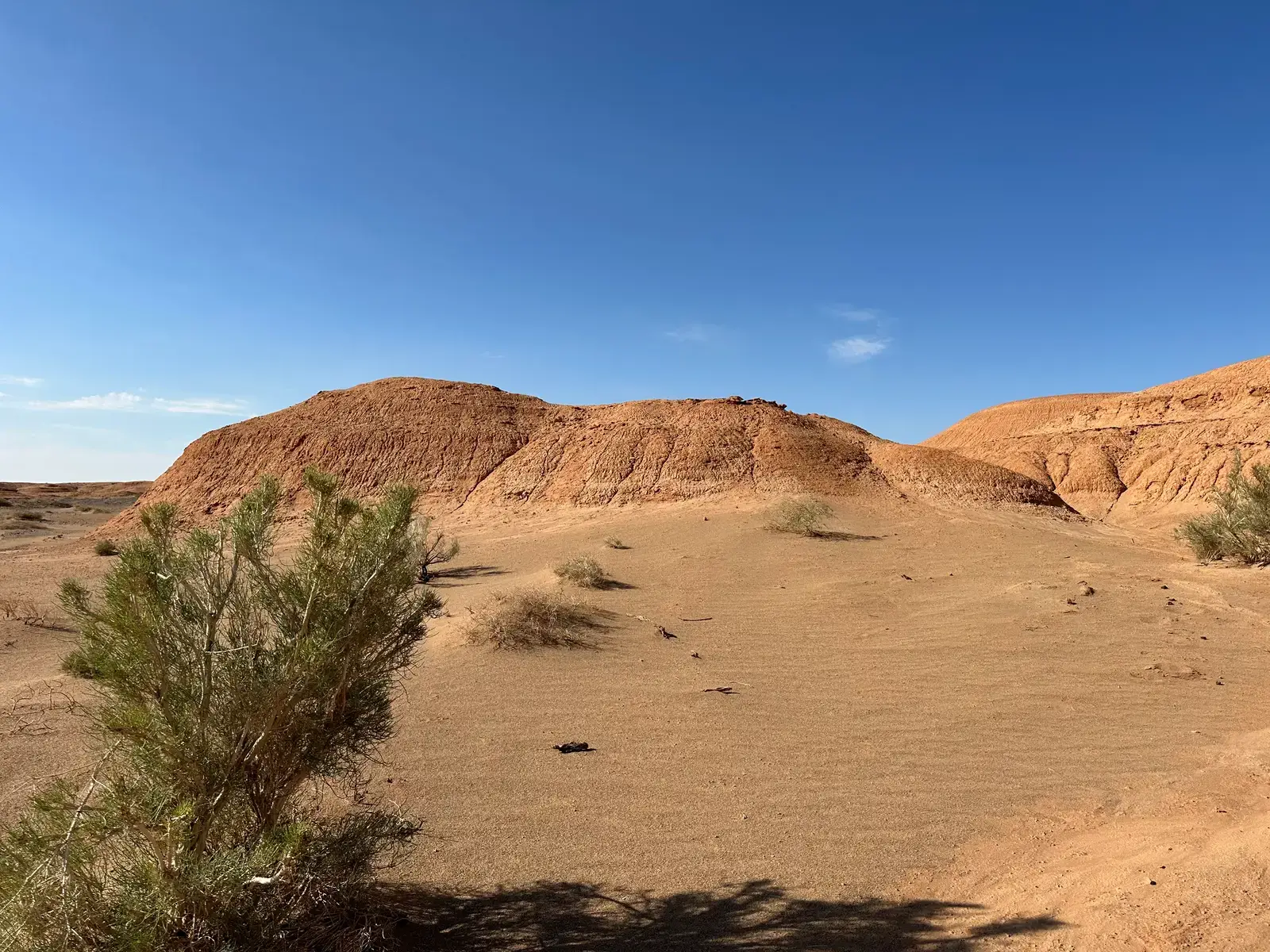 Conclusion: Why the Gobi Deserves More Attention (By ノボホショコロトソ, CC BY-SA 3.0)