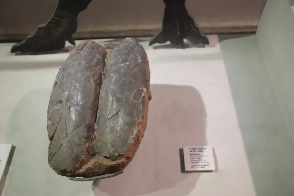 Dinosaur Eggs Were Sometimes Colorful, Not Just Plain White (Image Credits: Flickr)