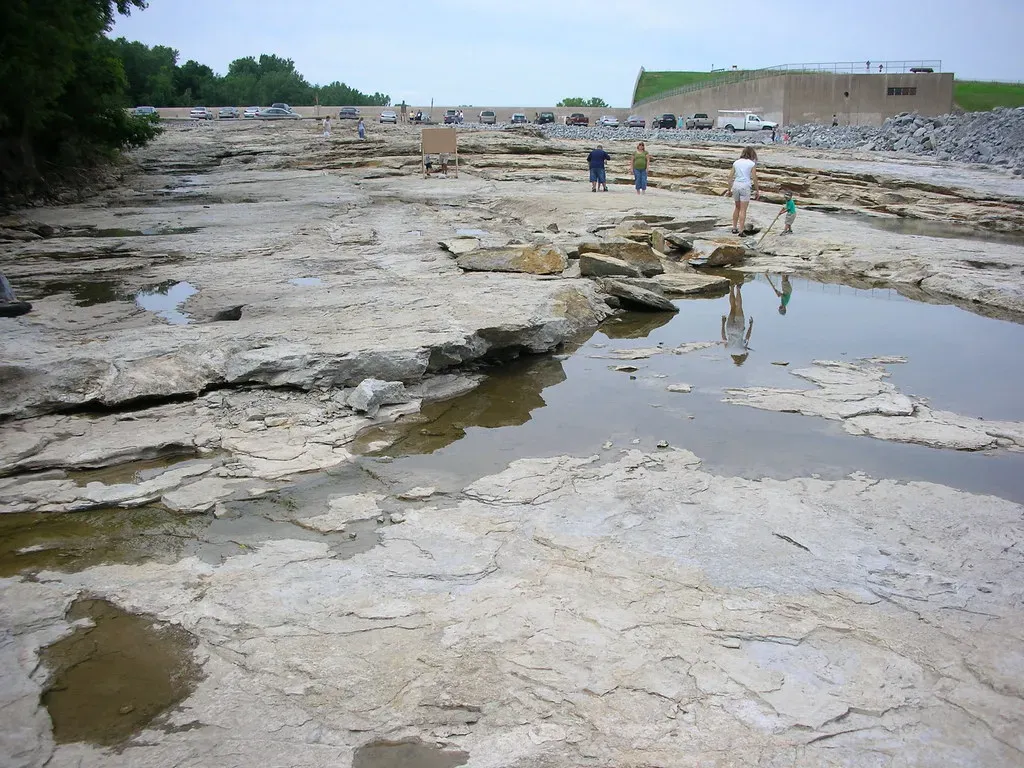 Devonian Fossil Gorge, Iowa: A Tropical Seafloor Revealed by Floodwater (Alan Light, Flickr, CC BY 2.0)