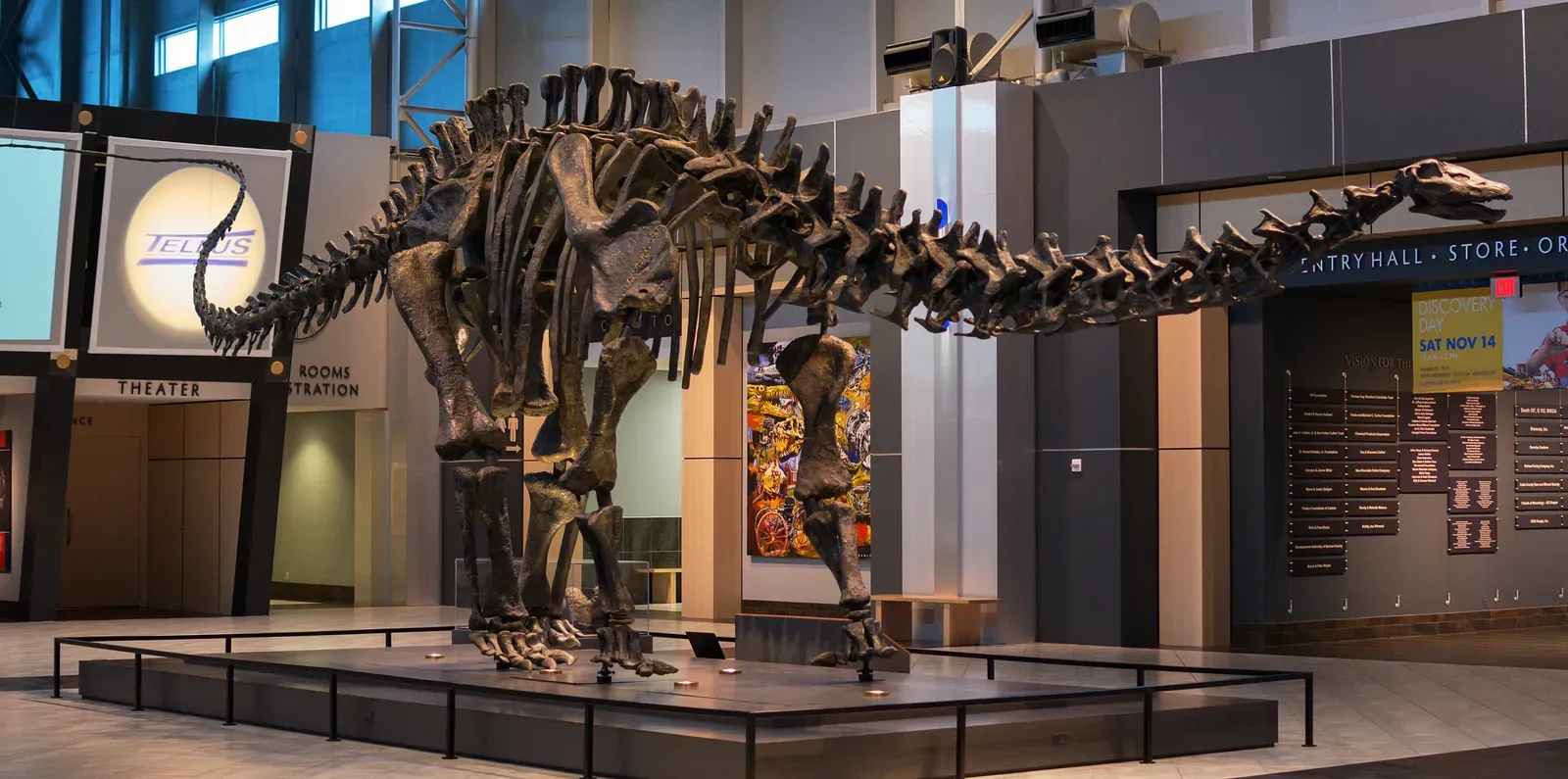 The Bone Wars, Rivalry, and the Rush to Name Something New (By Rob DiCaterino, CC BY 2.0)