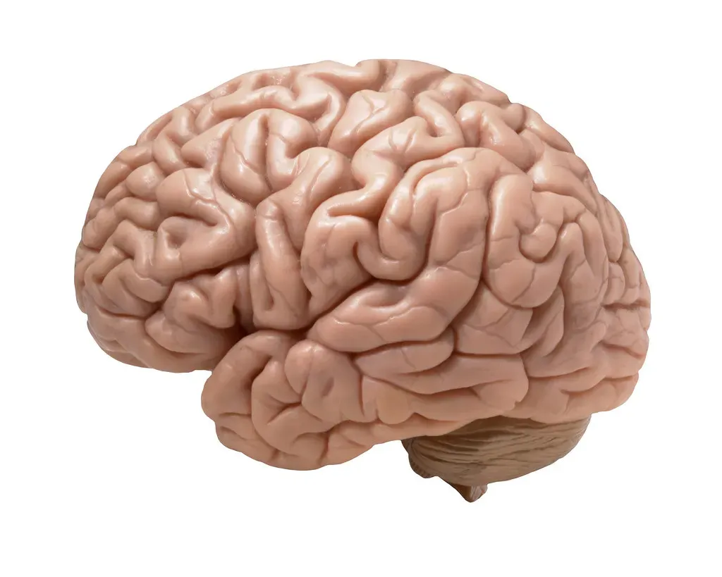 The Expanding Human Brain: Hardware For Inner Life (_DJ_, Flickr, CC BY-SA 2.0)