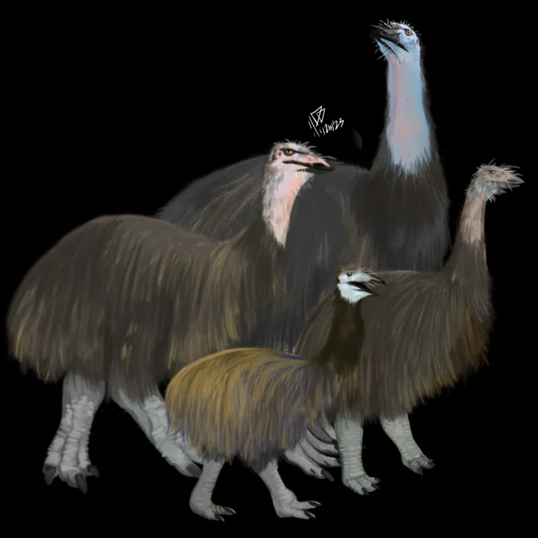 Vorombe Titan: When "Big Bird" Was Actually Terrifying (By Pagodroma721, CC BY-SA 4.0)