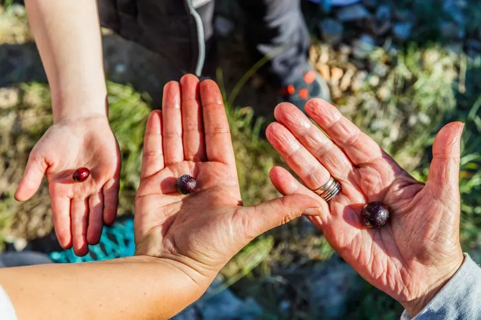 Why naming things turned shared knowledge into a survival engine (Image Credits: Pexels)