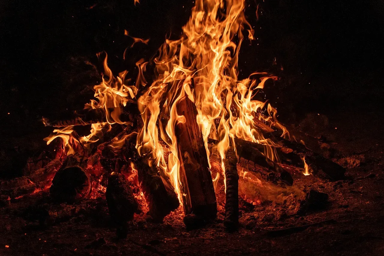 The Crackle, the Pop, and Your Auditory Calm (Image Credits: Pixabay)