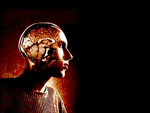 Your Brain's Emotional Command Center (Image Credits: Flickr)