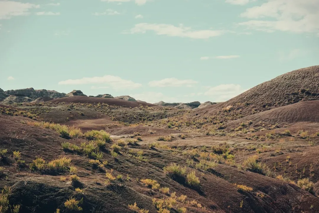 Extreme Climate Zones And A Harsh Interior (Image Credits: Unsplash)