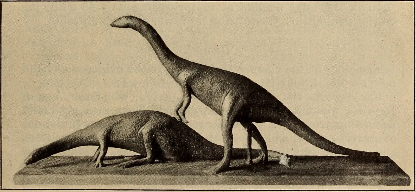 Feathers Before Flight: The Surprising Truth About Dino Fuzz (Image Credits: Wikimedia)