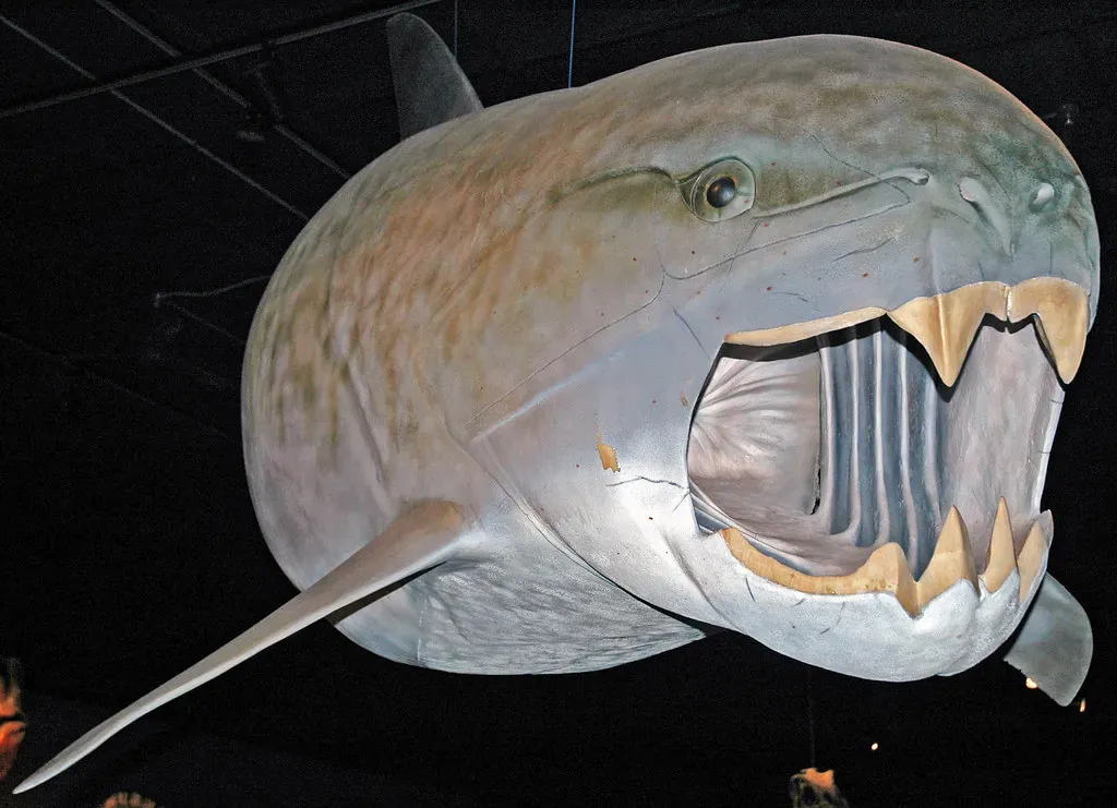 Dunkleosteus: The Armored Juggernaut of the Devonian (Image Credits: Flickr)
