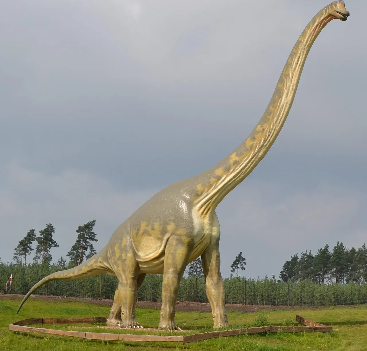 #14 - Sauropods Held Their Necks in a Graceful Swan-Like Curve (Image Credits: Pixabay)